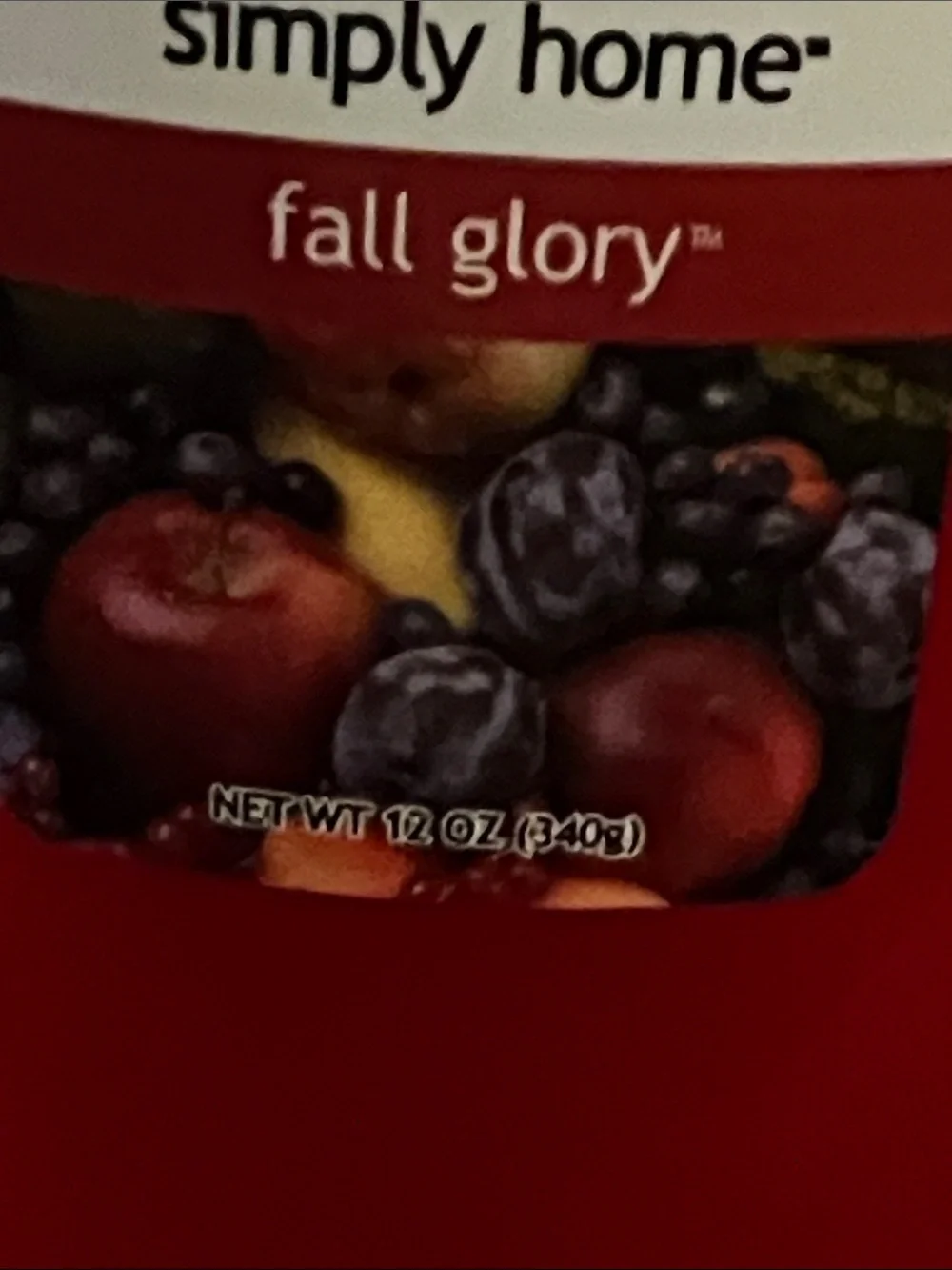 Yankee Candle Simply Home Fall Glory Large Red Jar Candle - never burned